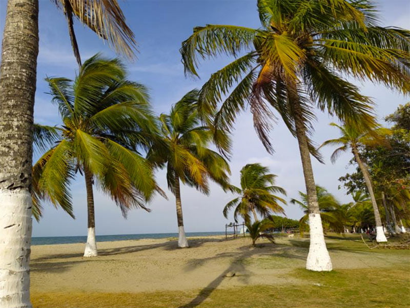 Playas de Punta Bolívar y Grau, cosas para hacer en San Antero
